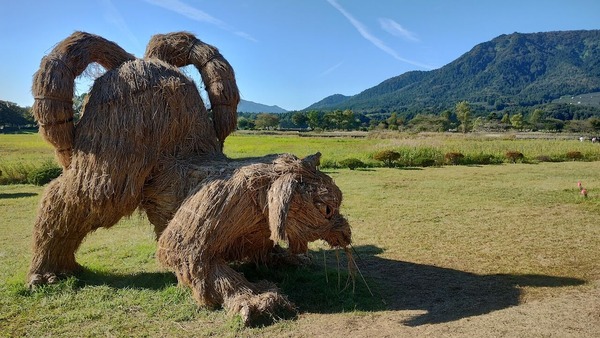 IMG_20241014_085747367_HDR