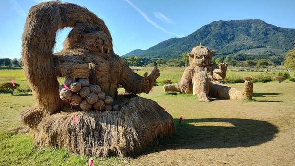 IMG_20241014_085812297_HDR