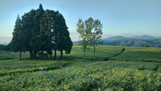 IMG_20240818_180018044_HDR