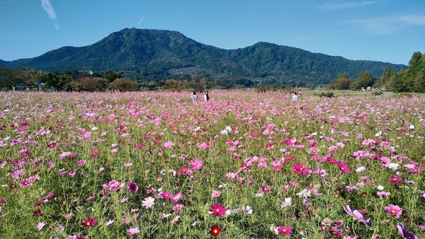 IMG_20241014_084538351_HDR-EDIT1