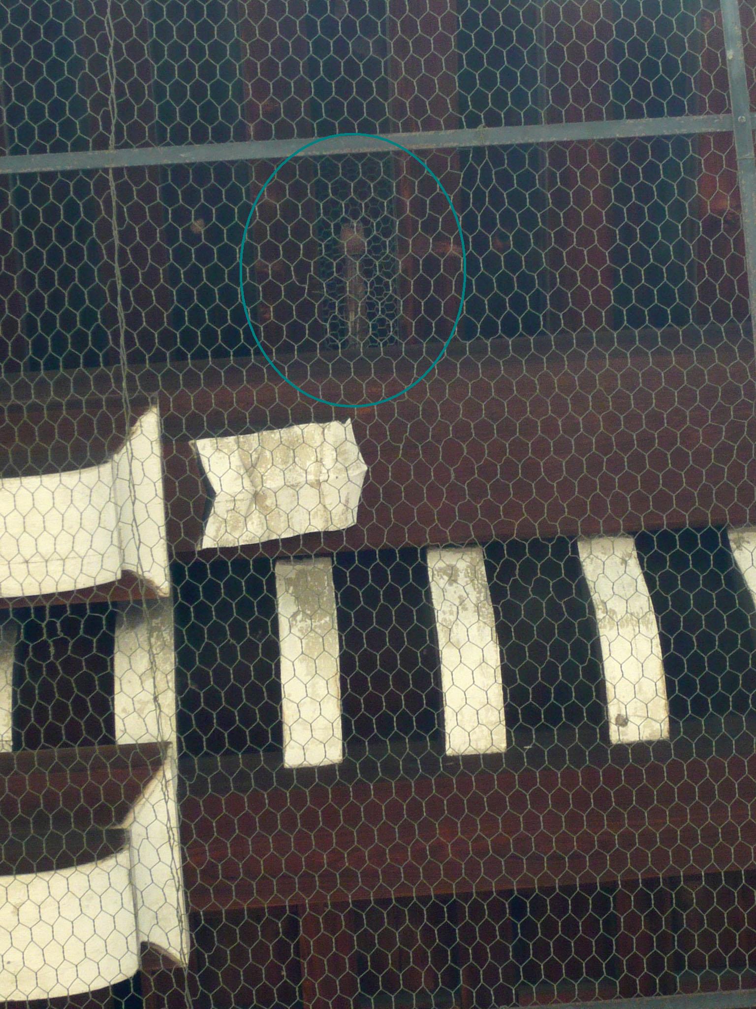 京都 知恩院 与板大仏 Team 34