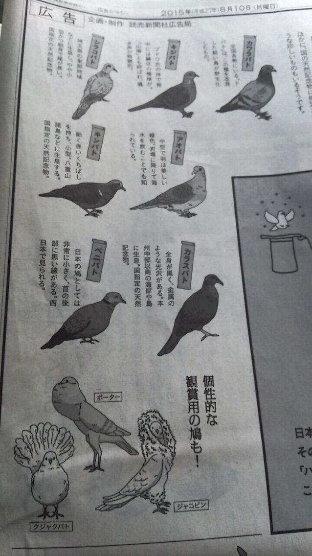 花の島 新着コウモリ 絵文字 花の島 新着コウモリ 絵文字