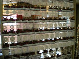 IMGP0005