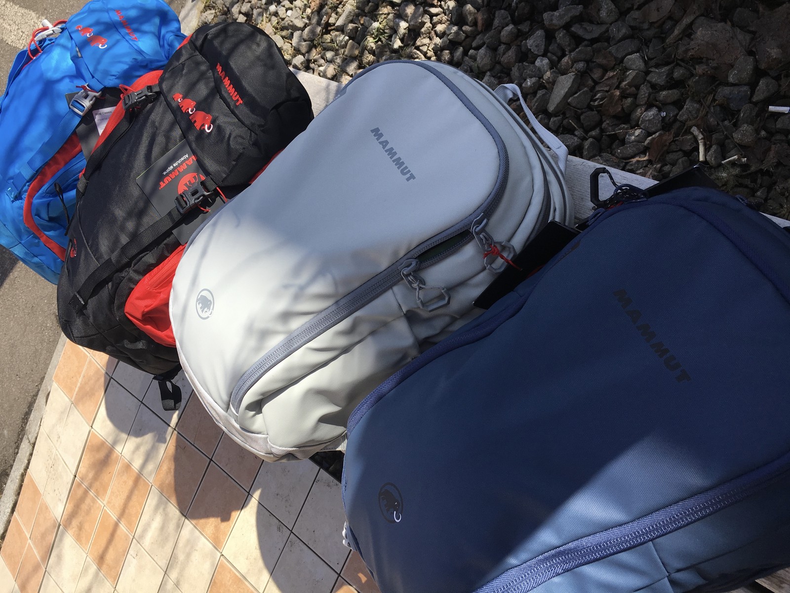 mammut ski bag