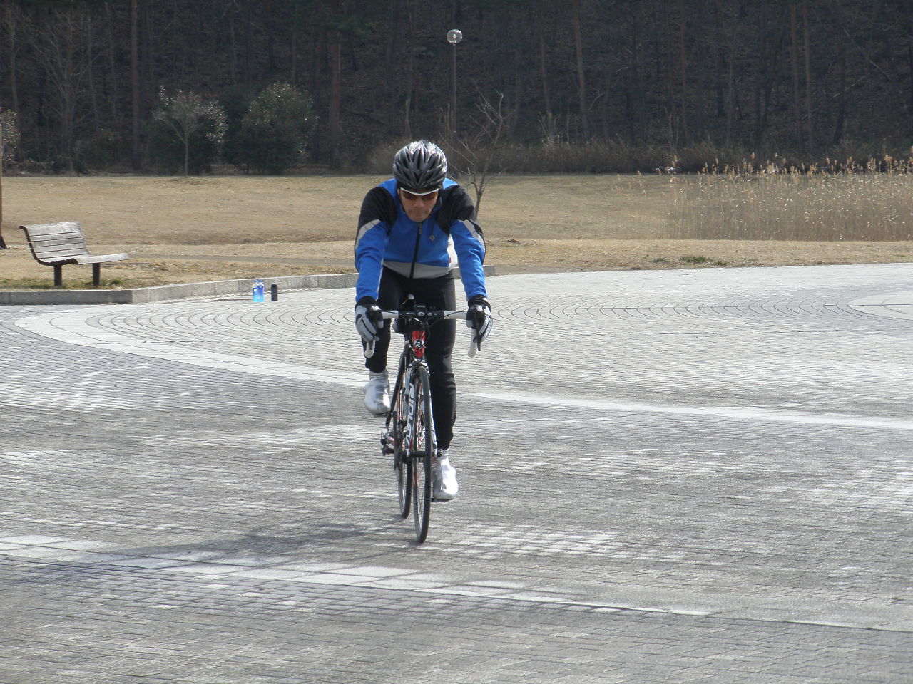自転車 フォーム