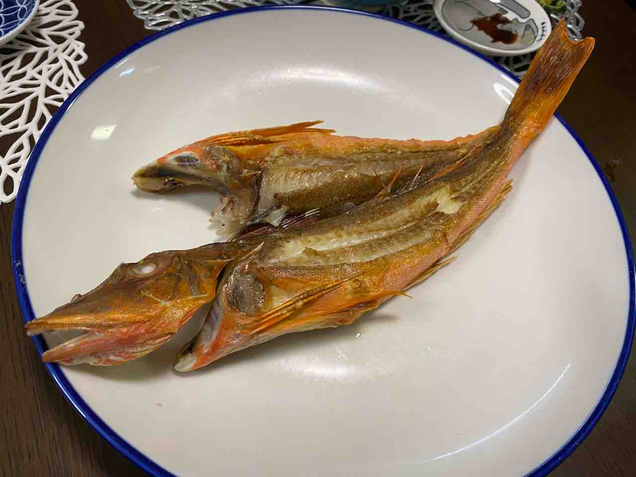 食い過ぎやろぉ ガチ ソルトウォーターフィッシングチーム