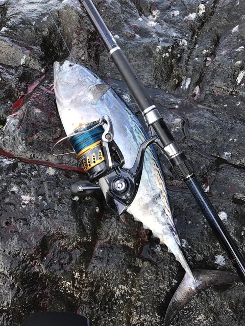 ２０１７ 男女群島 Team King Fish