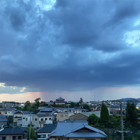 施設周辺の住宅地と空を俯瞰した風景。曇り空の下の地域景観。