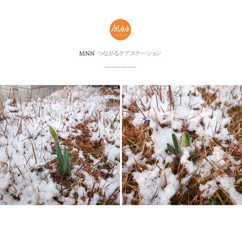 パーキンソンの運動障害へのリハビリ介入