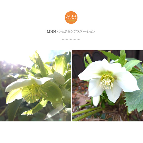 床から立つ動作の難しさとリハビリ介入