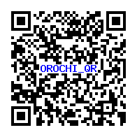 妖怪メダルバスターズ オロチのqrコードだニャン 6枚 がめおべら