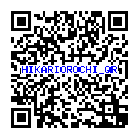 妖怪メダルバスターズ ヒカリオロチ Bメダル のqrコードだニャン 5枚 がめおべら