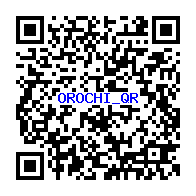 妖怪メダルバスターズ オロチのqrコードだニャン 6枚 がめおべら