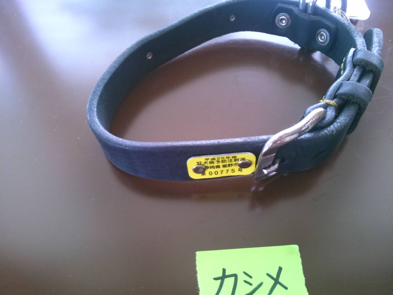 チーム オオサキ 14年09月 チーム オオサキ 14年09月