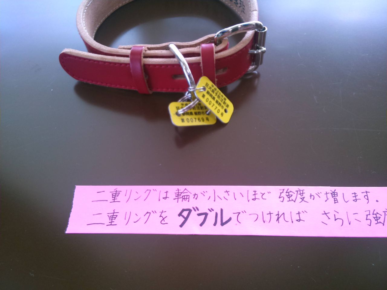 様々な画像 無料ダウンロード 犬 鑑札 付け方 様々な画像 無料ダウンロード 犬 鑑札 付け方