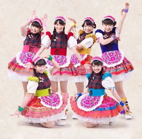 news_large_teamsyachihoko_art_201404