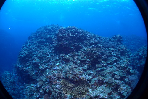 PB172307