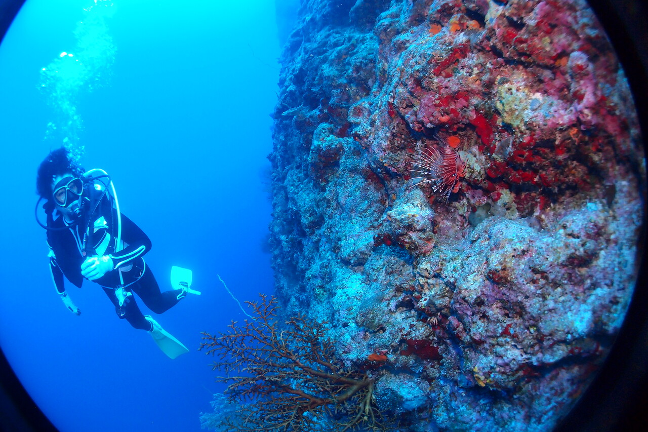 DivingBlog