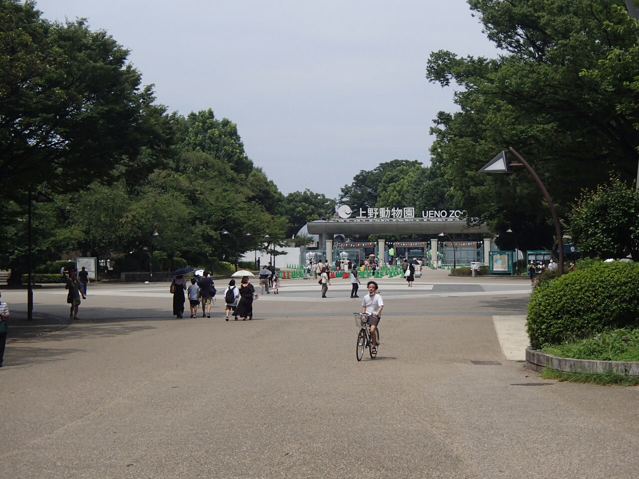 上野動物園 夢見る頃を過ぎても