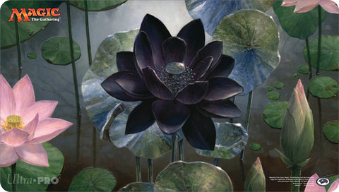 89367-B_AW8537_Mat_MTG_Artist_SB_402457