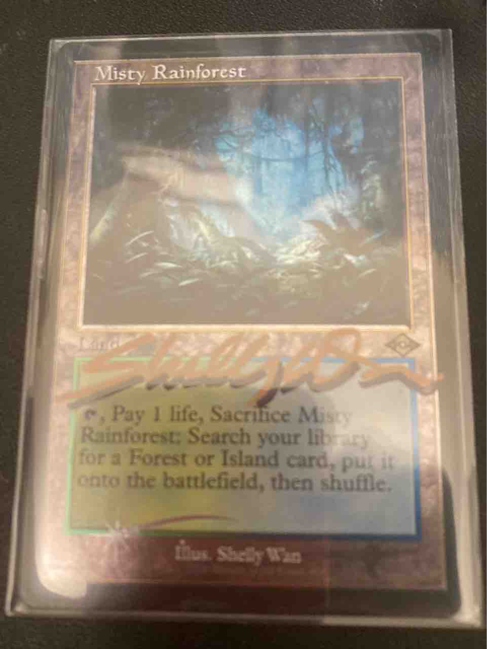 MTG　真理の声/Voice of Truth　英語版アーティストプルーフ MTG 真理の声/Voice of Truth 英語版アーティストプルーフ MTG 真理の