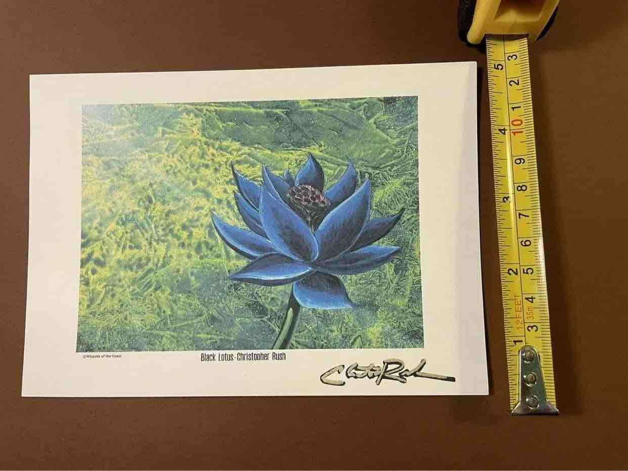 Black LotusのChristopher Rushの娘がバンされました。 : 平平MTG日記