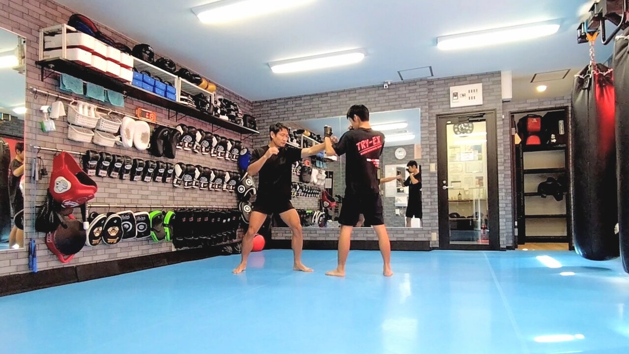 MOV_0051_exported_250629~2