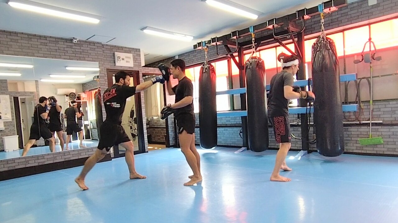 MOV_0003_exported_152279~2