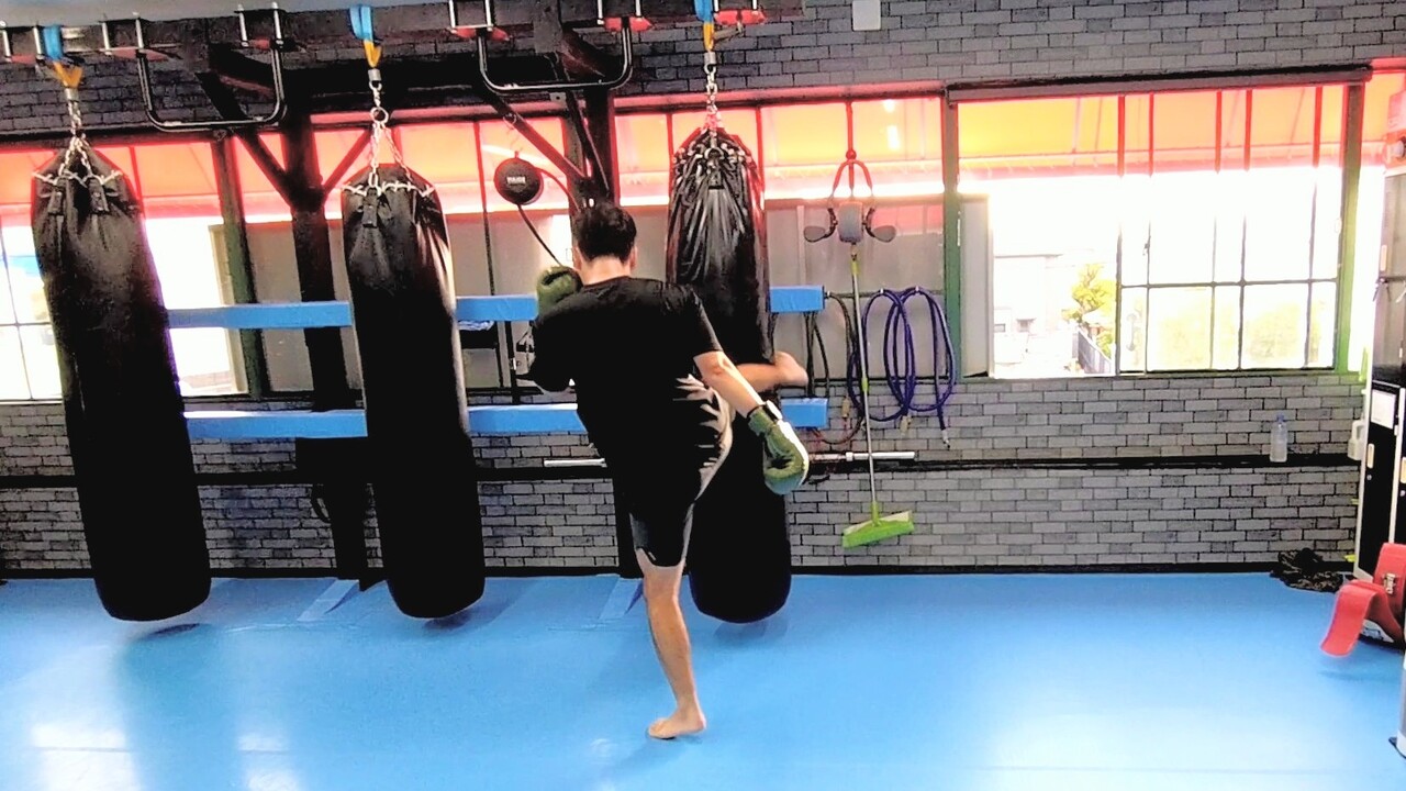 MOV_0003_exported_307866~2