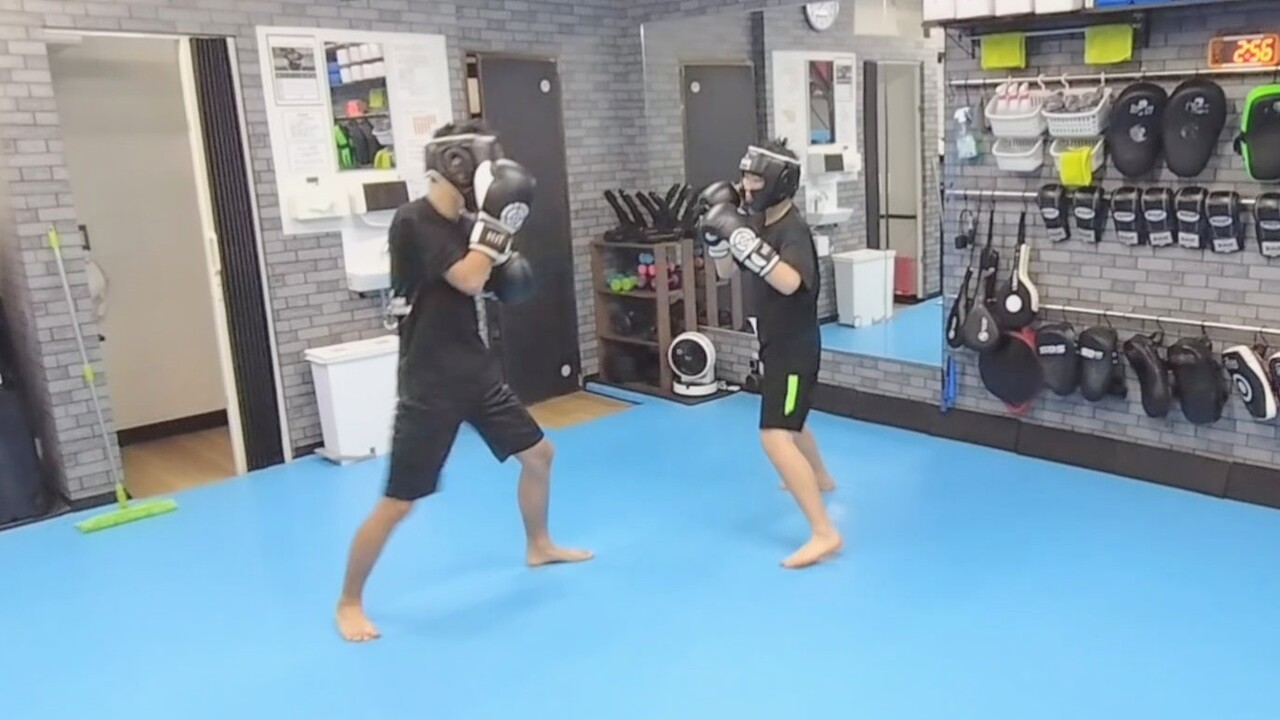 MOV_0022_exported_2499~2