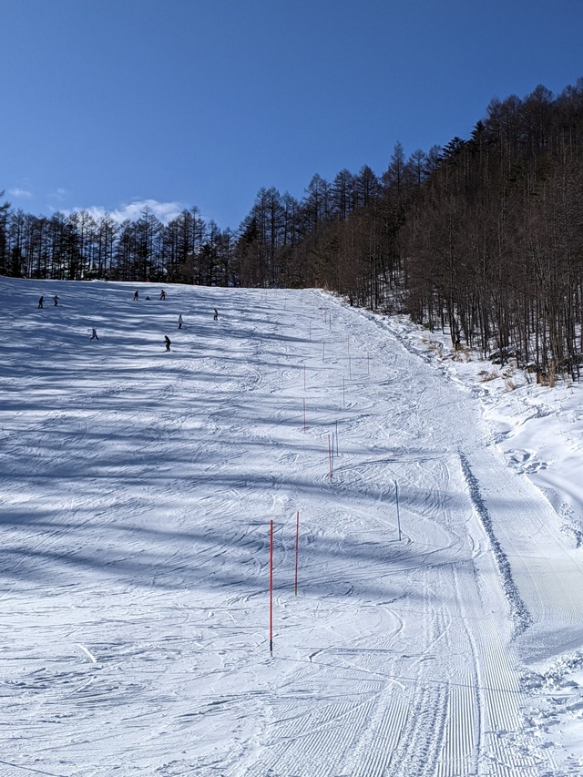 PXL_20220102_042523423