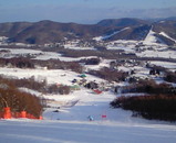 1181801e.jpg