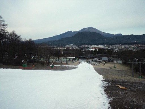 1335f1a1.jpg