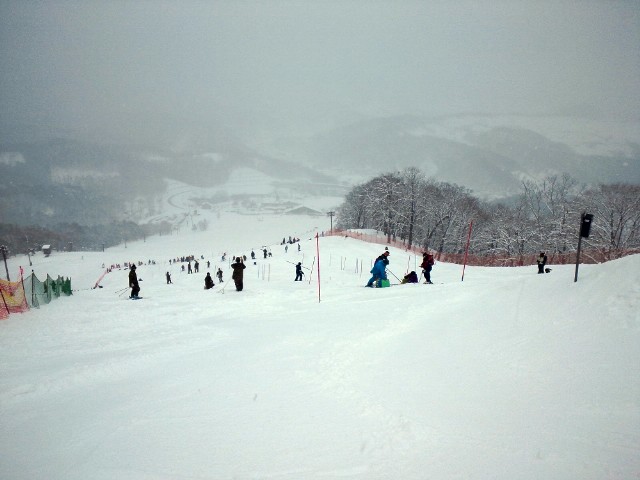 1562ef07.jpg