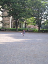16264ef3.jpg