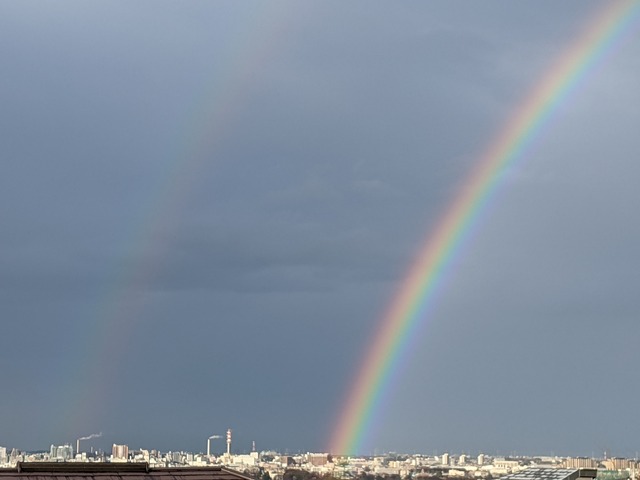 PXL_20210215_071159686