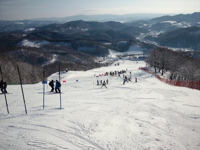 2522c180.jpg