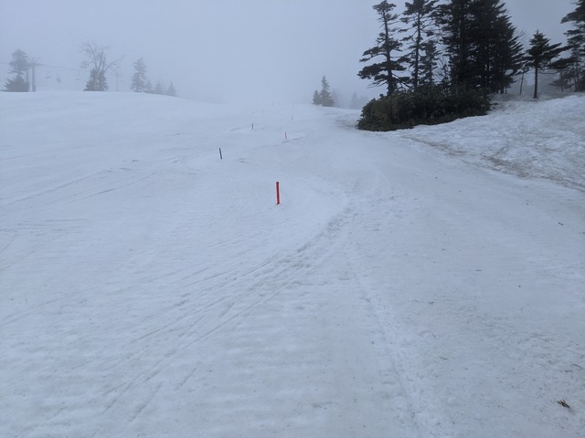 PXL_20210429_021347148