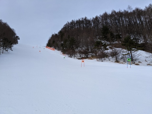 PXL_20210212_011023239