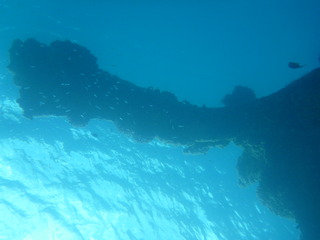 P1000340