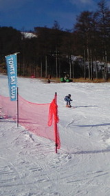 3052602d.jpg