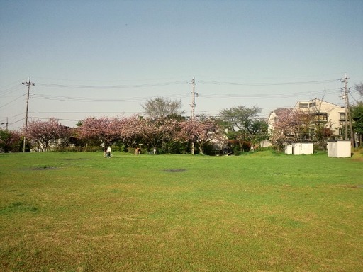 309b6797.jpg