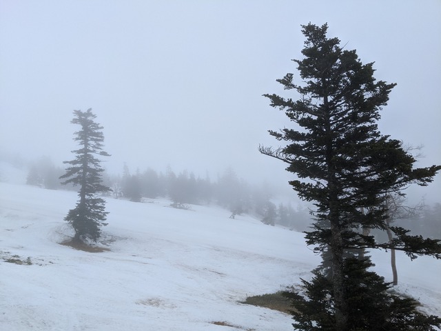 PXL_20210429_003035214