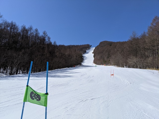 PXL_20210213_020447100