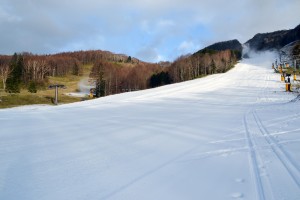 dsc_0003-300x200