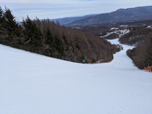 PXL_20210212_011010552