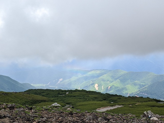 PXL_20220731_055831142