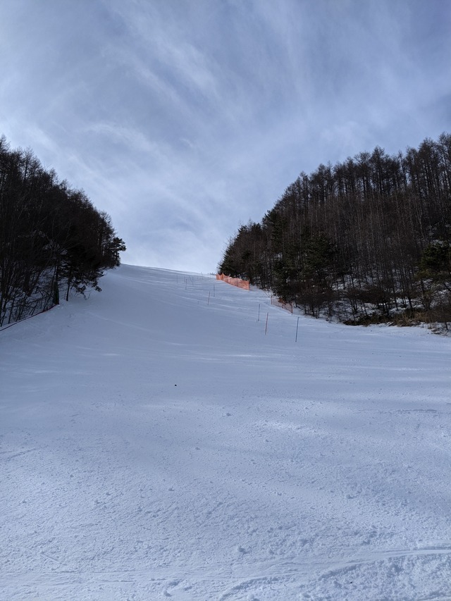 PXL_20210212_044156477