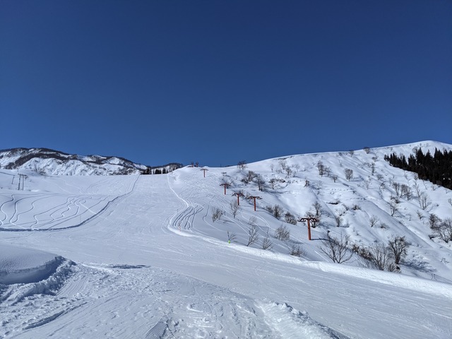 PXL_20210206_035829099