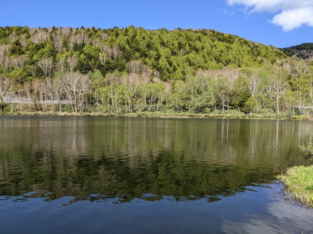 PXL_20220528_054956060